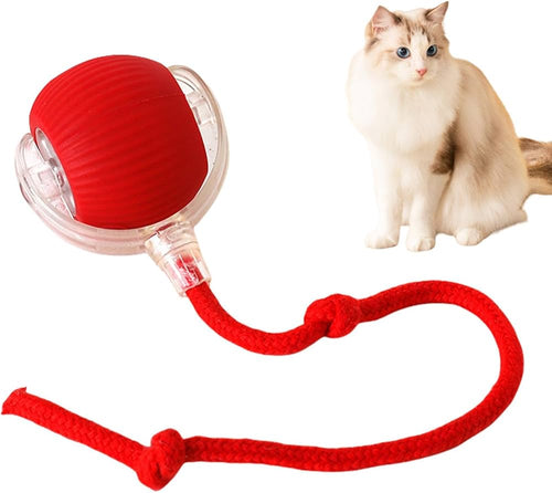 PawBall — La Bola Interactiva que Mantiene a tu Gato Activo