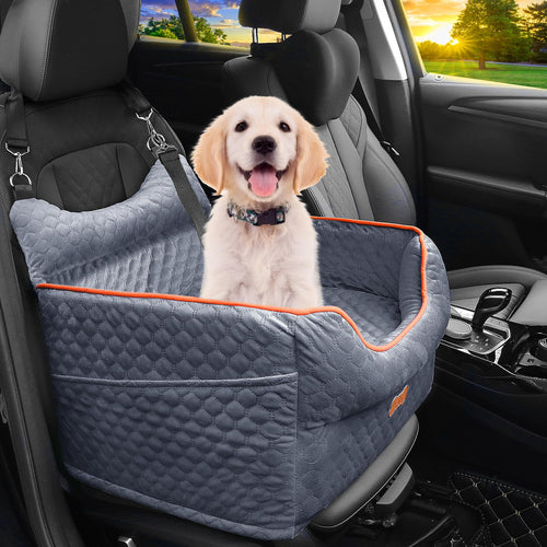 SafeRide — Asiento de Coche Seguro para tu Perro